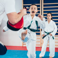 karate karate