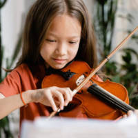 violin violin